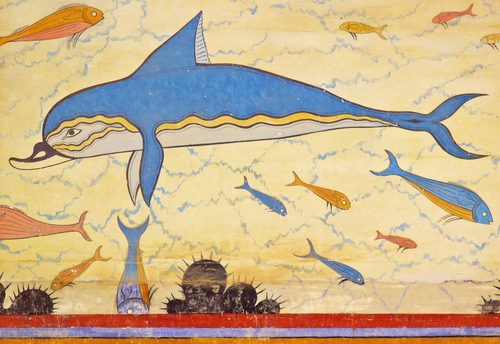 Delphinus delphis 02 — Crete
