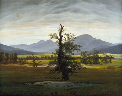 German:  Der einsame Baum Solitary Tree — Dresden