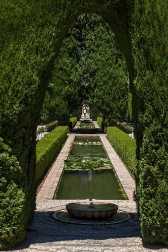 The gardens - Les jardins - La Alhambra de Granada Spain Andalousia - Picture Image Photography (14907030021) — Granada