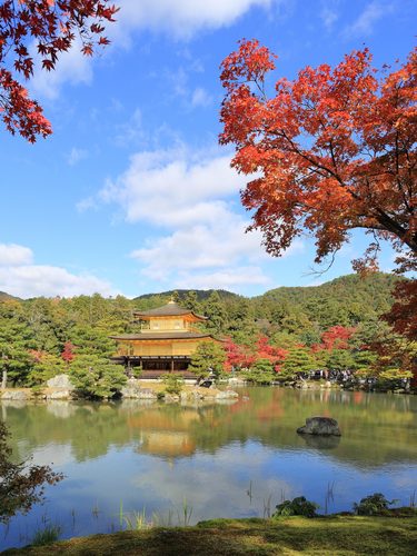 Kinkaku-ji in November 2016 -02 — Kyoto