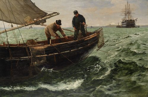 Falmouth Natives — Newlyn
