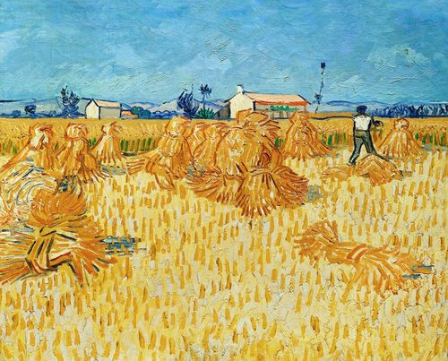 Harvest in Provence. — Provence
