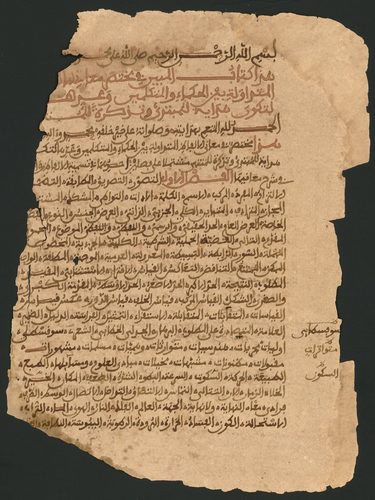 A Summary Explanation of the Pronouncements of the Scholars and Theologians — Timbuktu