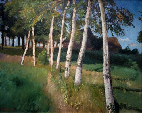 Birken im Moor (Weyermoor) — Worpswede